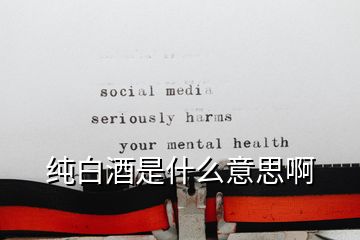 純白酒是什么意思啊