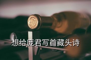 想給龐君寫首藏頭詩