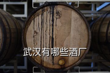 武漢有哪些酒廠