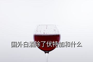 國外白酒除了伏特加和什么