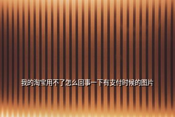 我的淘寶用不了怎么回事一下有支付時候的圖片