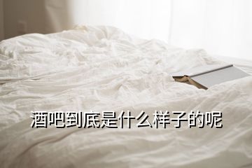 酒吧到底是什么樣子的呢