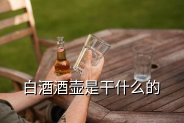 白酒酒壺是干什么的