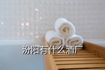 汾陽有什么酒廠