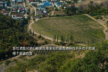 各位酒友兄弟們都是在哪里買的醬香酒啊找半天也不知道哪個(gè)靠譜百度