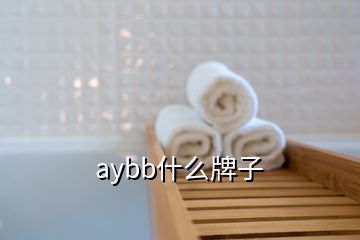 aybb什么牌子