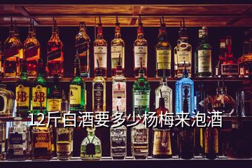 12斤白酒要多少楊梅來(lái)泡酒