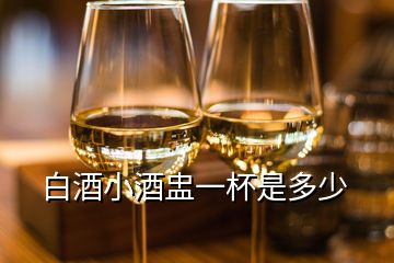 白酒小酒盅一杯是多少