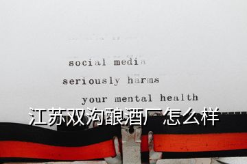 江蘇雙溝釀酒廠怎么樣