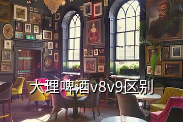 大理啤酒v8v9區(qū)別