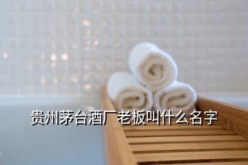 貴州茅臺酒廠老板叫什么名字