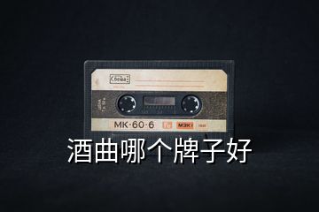 酒曲哪個(gè)牌子好