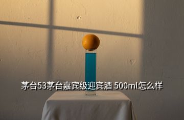 茅臺(tái)53茅臺(tái)嘉賓級(jí)迎賓酒 500ml怎么樣