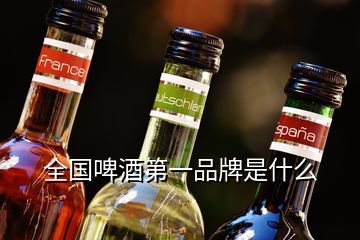 全國(guó)啤酒第一品牌是什么