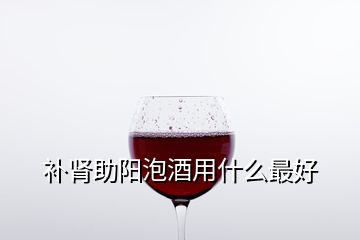 補腎助陽泡酒用什么最好