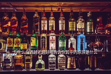 為什么白酒越老越好喝告訴你其中的原理是什么