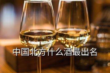 中國(guó)北方什么酒最出名