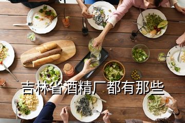 吉林省酒精廠都有那些