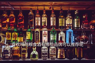 喜歡喝純糧食酒有哪些品牌可以推薦呢