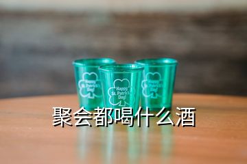 聚會(huì)都喝什么酒