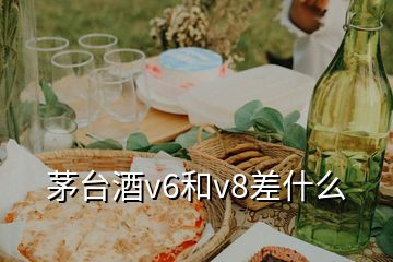 茅臺酒v6和v8差什么