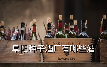 阜陽種子酒廠有哪些酒