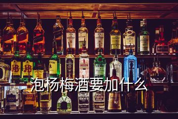 泡楊梅酒要加什么