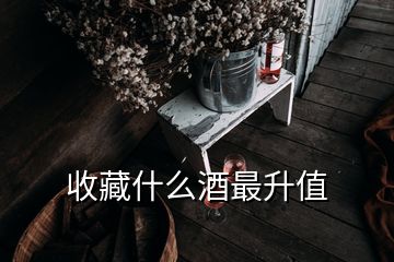 收藏什么酒最升值