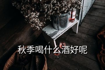 秋季喝什么酒好呢