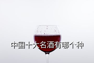 中國十大名酒有哪個(gè)種