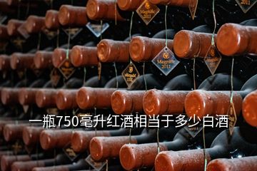 一瓶750毫升紅酒相當(dāng)于多少白酒