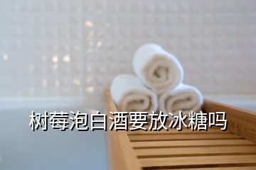 樹(shù)莓泡白酒要放冰糖嗎