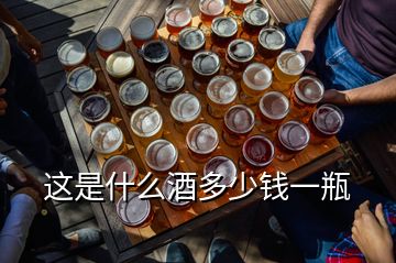 這是什么酒多少錢(qián)一瓶