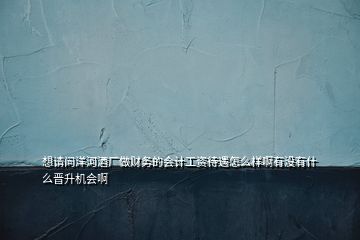 想請(qǐng)問洋河酒廠做財(cái)務(wù)的會(huì)計(jì)工資待遇怎么樣啊有沒有什么晉升機(jī)會(huì)啊