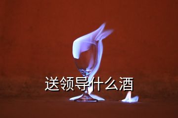 送領(lǐng)導(dǎo)什么酒