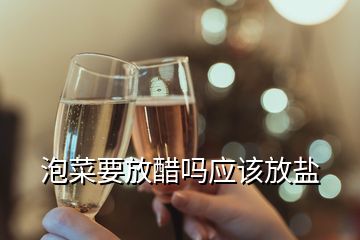 泡菜要放醋嗎應(yīng)該放鹽