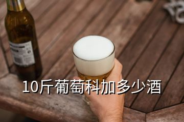 10斤葡萄科加多少酒