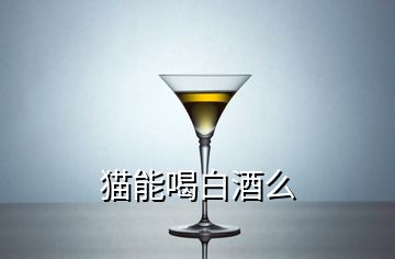 貓能喝白酒么