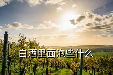 白酒里面泡些什么