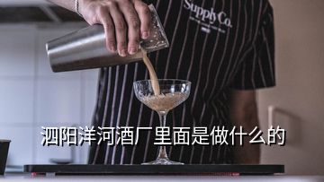 泗陽(yáng)洋河酒廠里面是做什么的