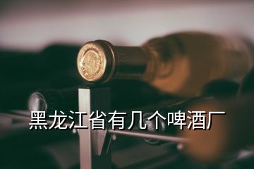 黑龍江省有幾個(gè)啤酒廠