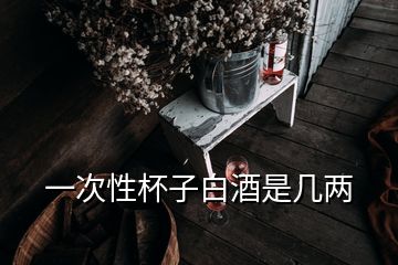 一次性杯子白酒是幾兩