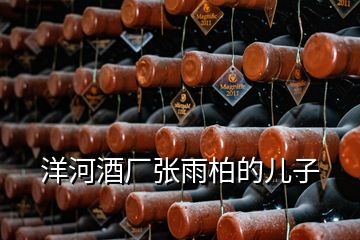 洋河酒廠張雨柏的兒子