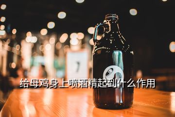 給母雞身上噴酒精起到什么作用