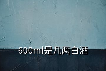 600ml是幾兩白酒