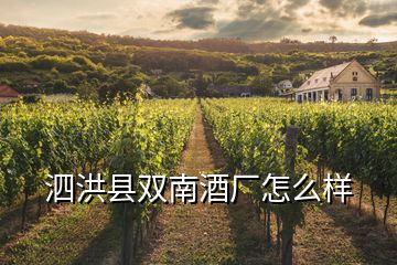 泗洪縣雙南酒廠怎么樣