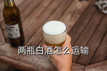 兩瓶白酒怎么運(yùn)輸