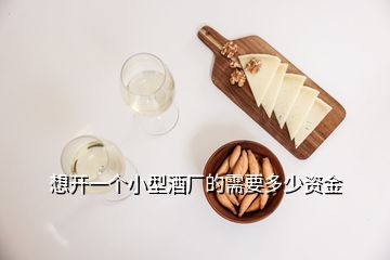 想開一個小型酒廠的需要多少資金