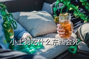 小土狗吃什么東西會死