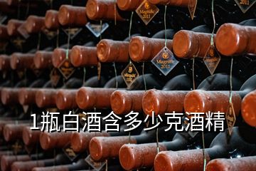 1瓶白酒含多少克酒精